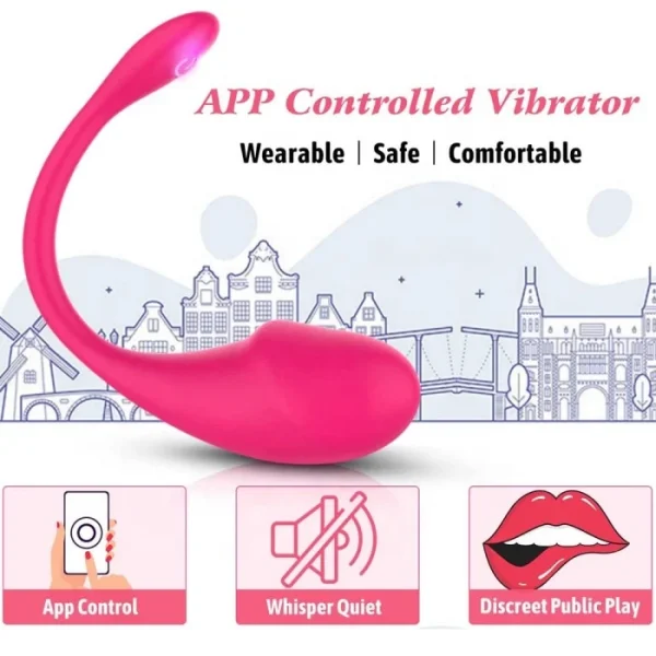 APP Controlled USB-powered Dildo 10 Frequency Vibrating Egg for Stimulating Female Clit S Pot Adult Women's Sex Toys - Image 4