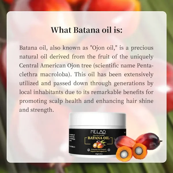 Private Label Deeply Moisturize Wholesale Natural Organic Smooth Repair Dryness Prevent Hair Loss Hair Growth Batana Oil - Image 2