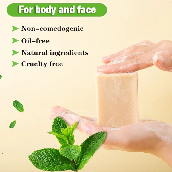 Private Label Natural Organic Body Wash for Healing Refreshing Cleansing Tea Tree Peppermint Nourishing Remedy Soap - Image 5