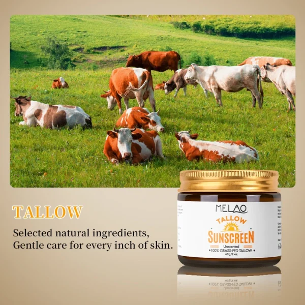 Korean Skin Care Products 100% Grass Fed Beef Tallow Sunscreen Sunblock Private Label Makeup Face Beauty Cosmetics - Image 5