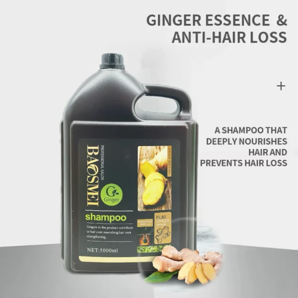 Hair Growth Products Wholesale Natural 100% Herbal Anti Dandruff Treatment Hair Loss Ginger Big Capacity 5L Shampoo - Image 2