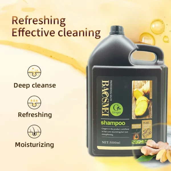Hair Growth Products Wholesale Natural 100% Herbal Anti Dandruff Treatment Hair Loss Ginger Big Capacity 5L Shampoo - Image 3