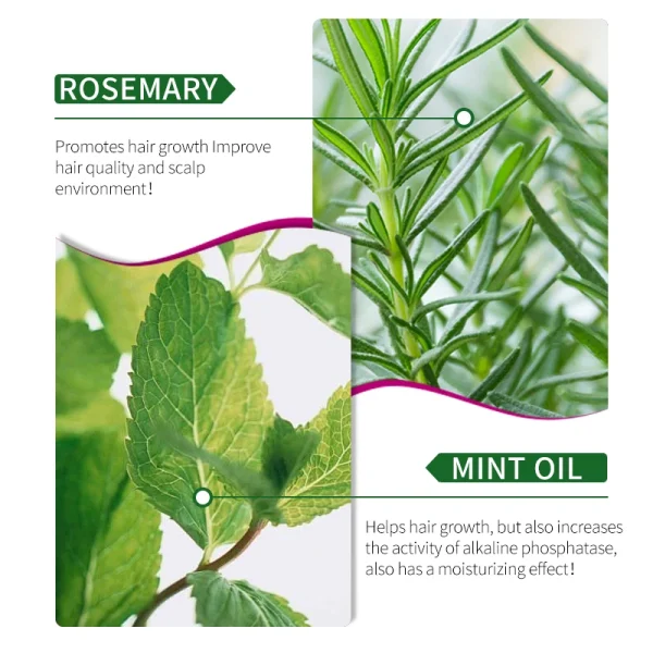 OEM/ODM 1000 ml rosemary peppermint oil hair mask moisturizing hair dye perm ointment - Image 2