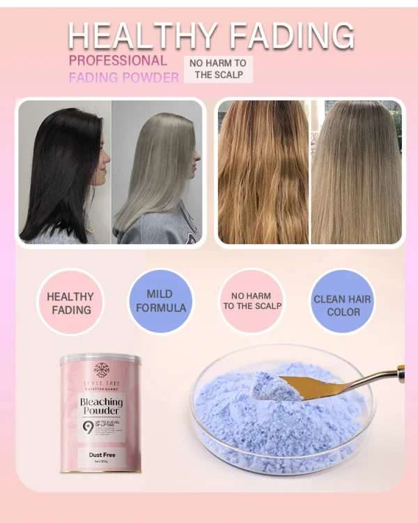 OEM Private Label Wholesale Manufacturer Ammonia Free Decolor Organic Dust Free Level 9 Hair Bleaching Powder - Image 4