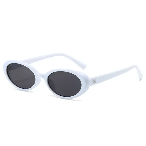 Lmamba 5035 Small Plastic Frame Sunglasses Modern Custom Designer Women Sun Glasses UV400 Shades Fashion Sunglasses 2024 - Image 6