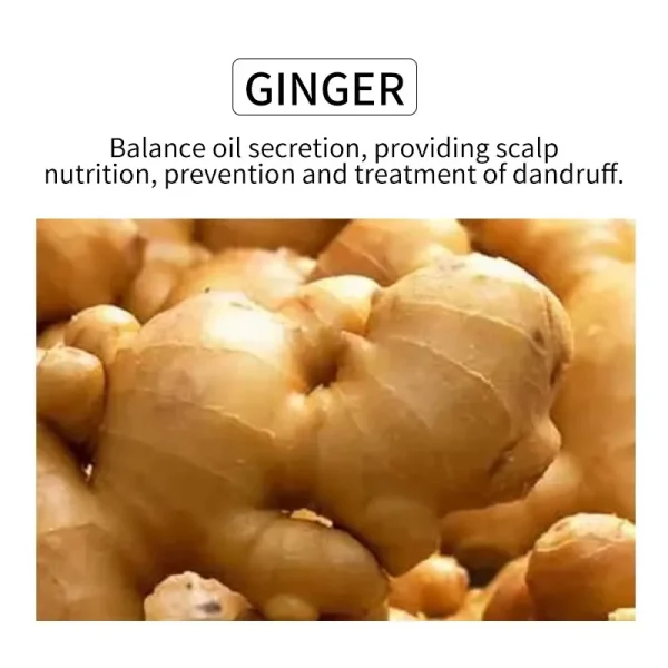 Hair Growth Products Wholesale Natural 100% Herbal Anti Dandruff Treatment Hair Loss Ginger Big Capacity 5L Shampoo - Image 6