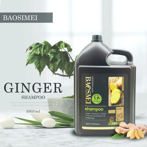 Hair Growth Products Wholesale Natural 100% Herbal Anti Dandruff Treatment Hair Loss Ginger Big Capacity 5L Shampoo - Image 5